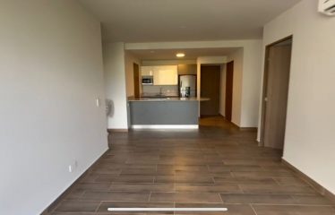 Renta de Departamento al Sur de Mty