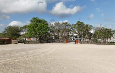 Renta de Terrenos Multifuncionales en Pesquería