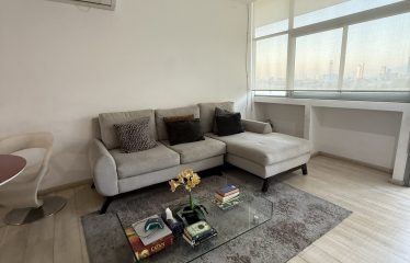 Departamento en Renta en Nuevo Sur