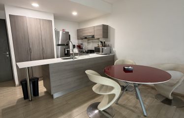 Departamento en Renta en Nuevo Sur